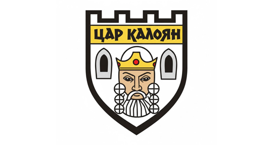 Община Цар Калоян