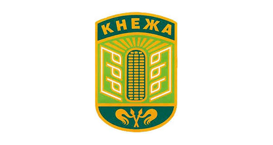 Община Кнежа